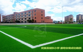 来宾武宣县城东小学 人造草坪足球场成功案例——康奇体育